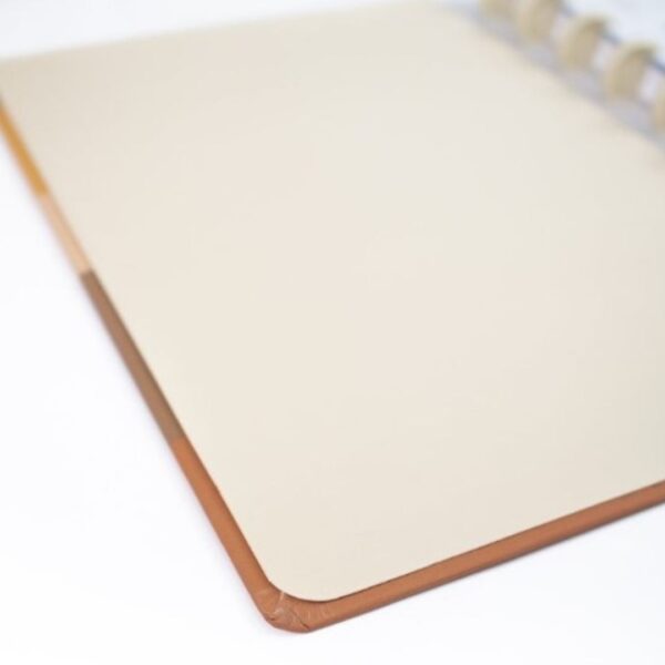 Caderno de Disco Camada - Imagem 7